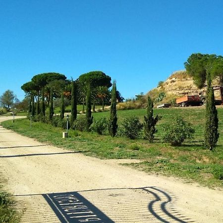 Agriturismo Il Poderino Villa Tarquinia Dış mekan fotoğraf