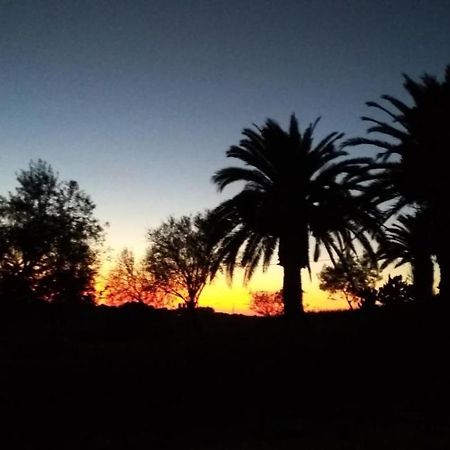 Agriturismo Il Poderino Villa Tarquinia Dış mekan fotoğraf