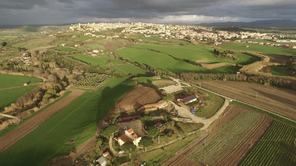 Agriturismo Il Poderino Villa Tarquinia Dış mekan fotoğraf