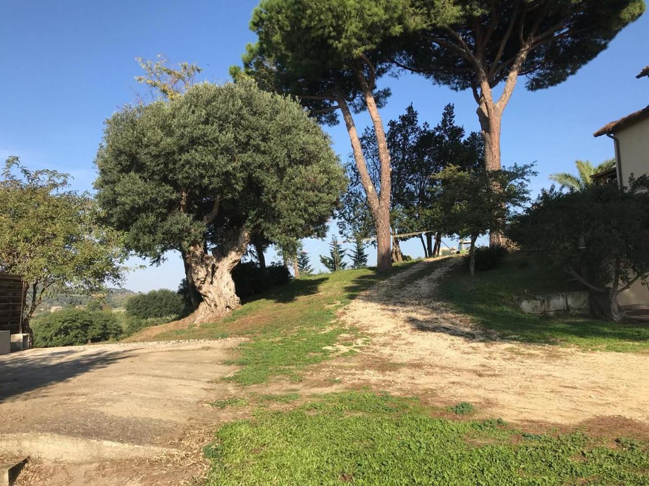 Agriturismo Il Poderino Villa Tarquinia Dış mekan fotoğraf