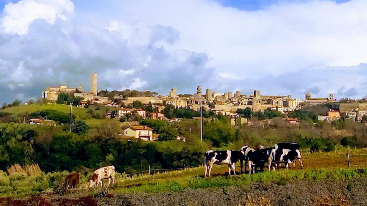 Agriturismo Il Poderino Villa Tarquinia Dış mekan fotoğraf